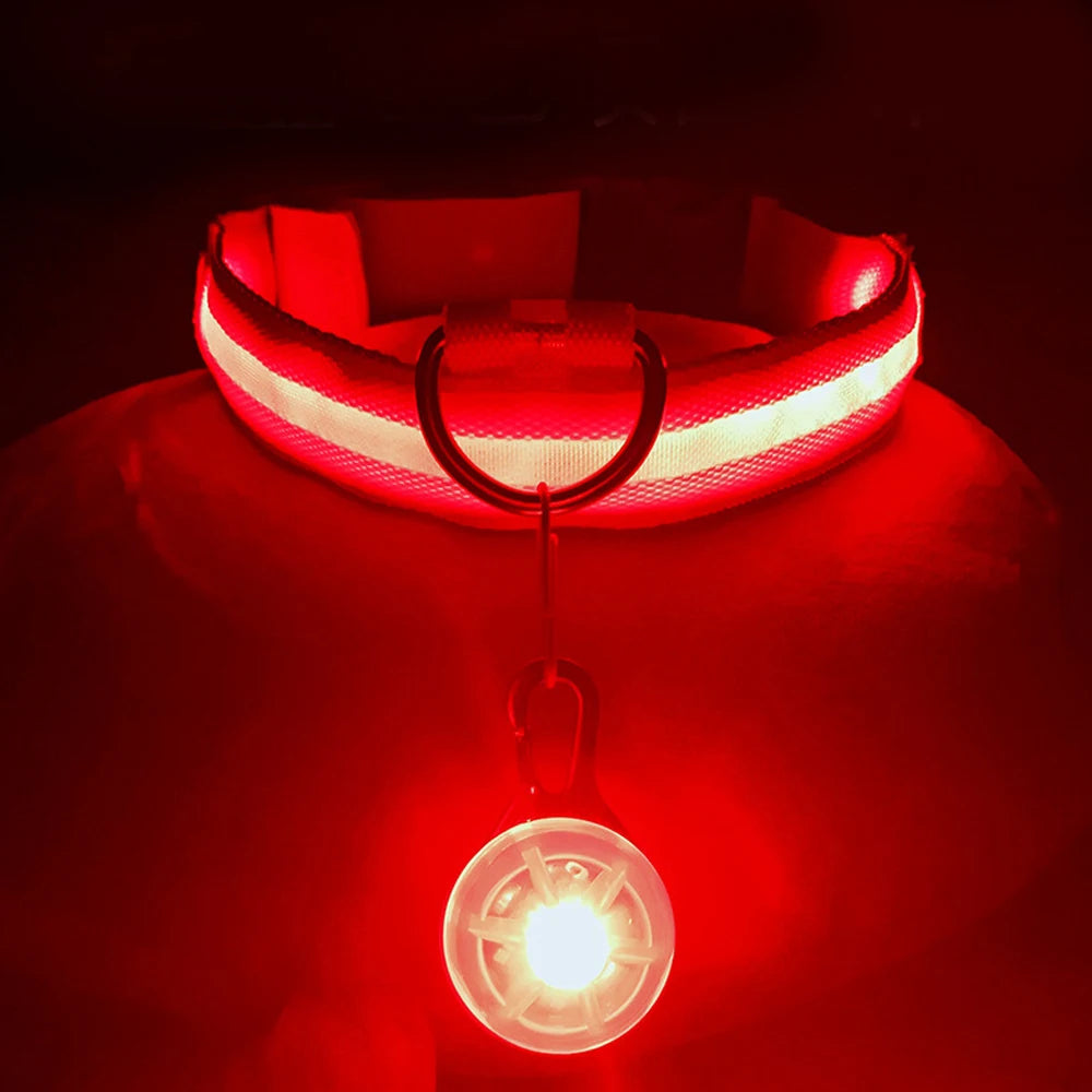 Collar Luminoso LED para Perros y Gatos | Reflectante, Ajustable y Seguro para la Noche