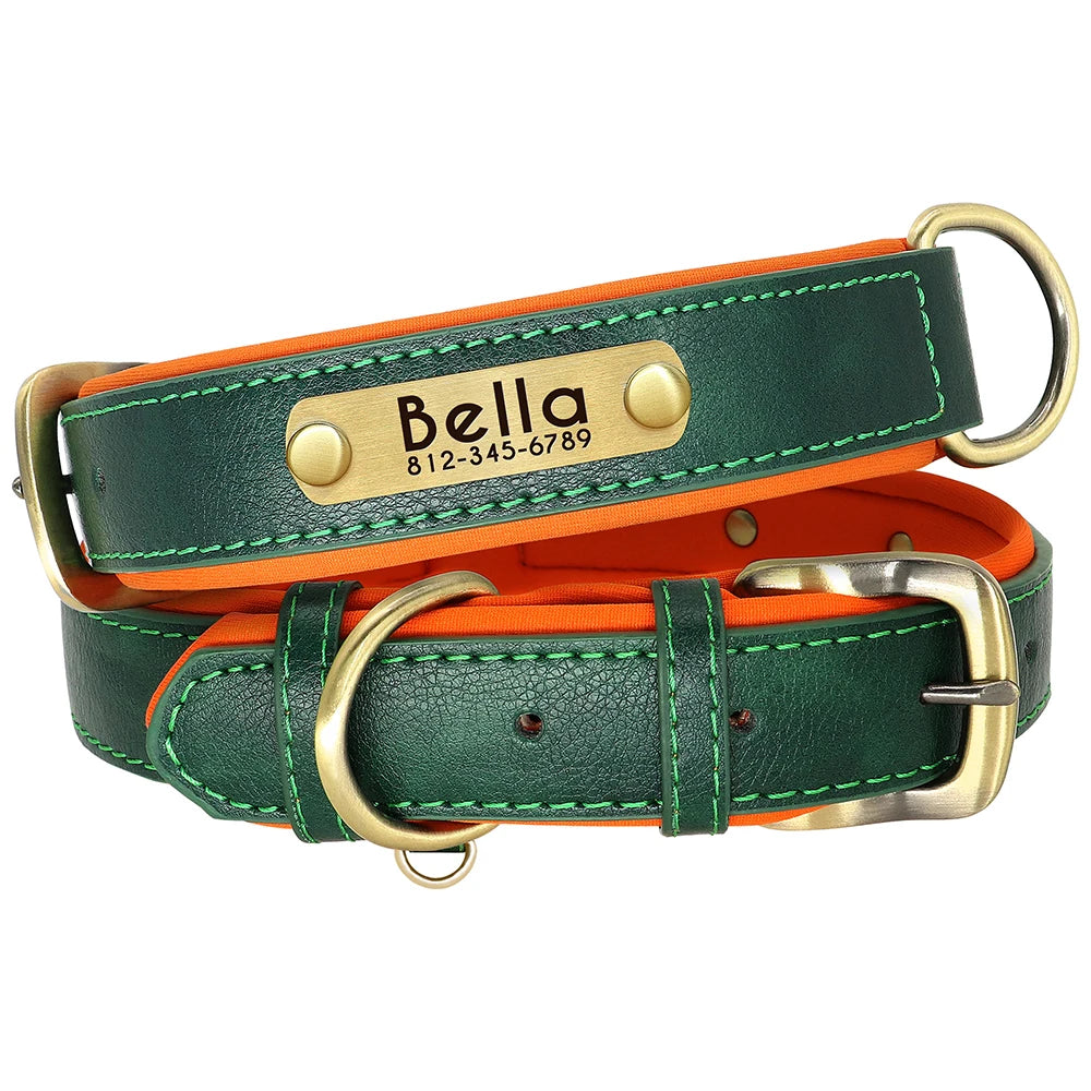 Collar y correa para perro personalizados | Cuero acolchado con placa grabada