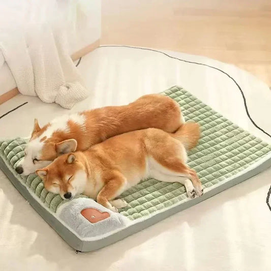 Cama Ortopédica para Perros con Funda Removible – Cojín Suave Lavable a Máquina