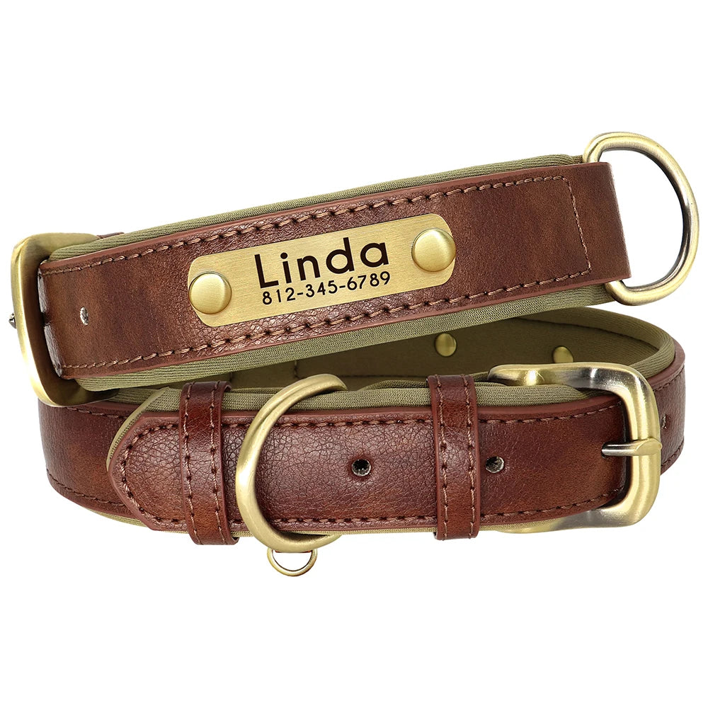 Collar y correa para perro personalizados | Cuero acolchado con placa grabada
