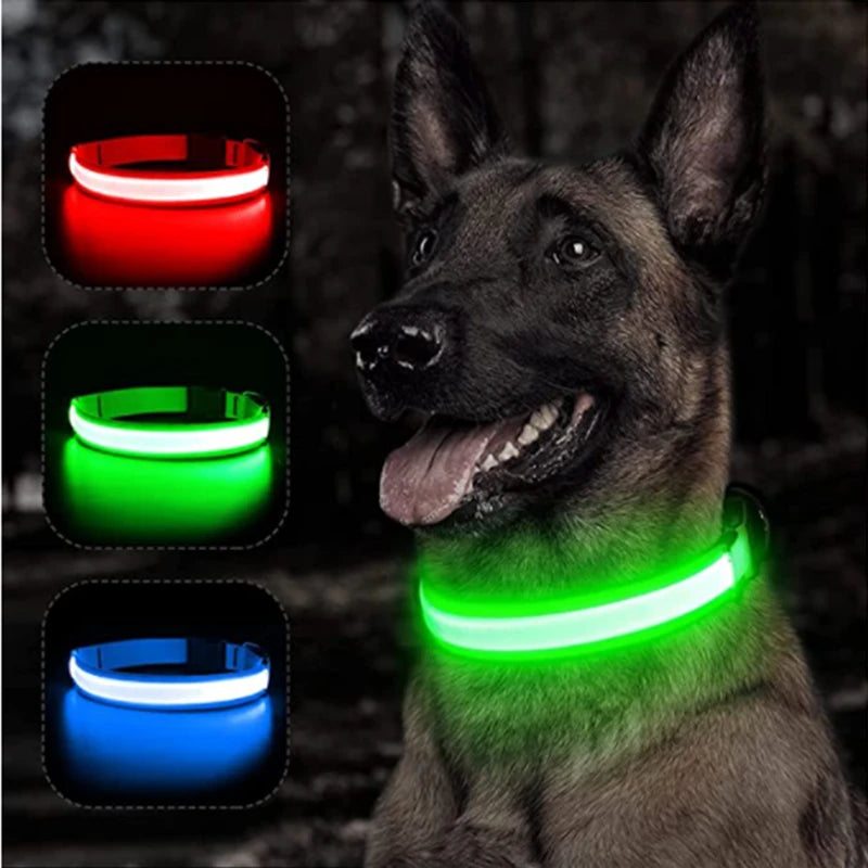Collar LED Luminoso Recargable USB para Perros y Gatos – Ajustable, Seguro y Visible de Noche