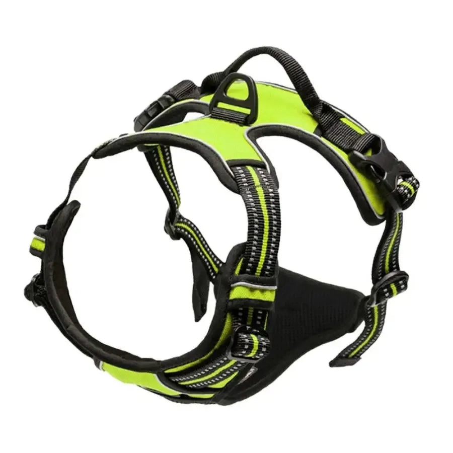 Arnés para perros con correa | Set cómodo y resistente para paseo
