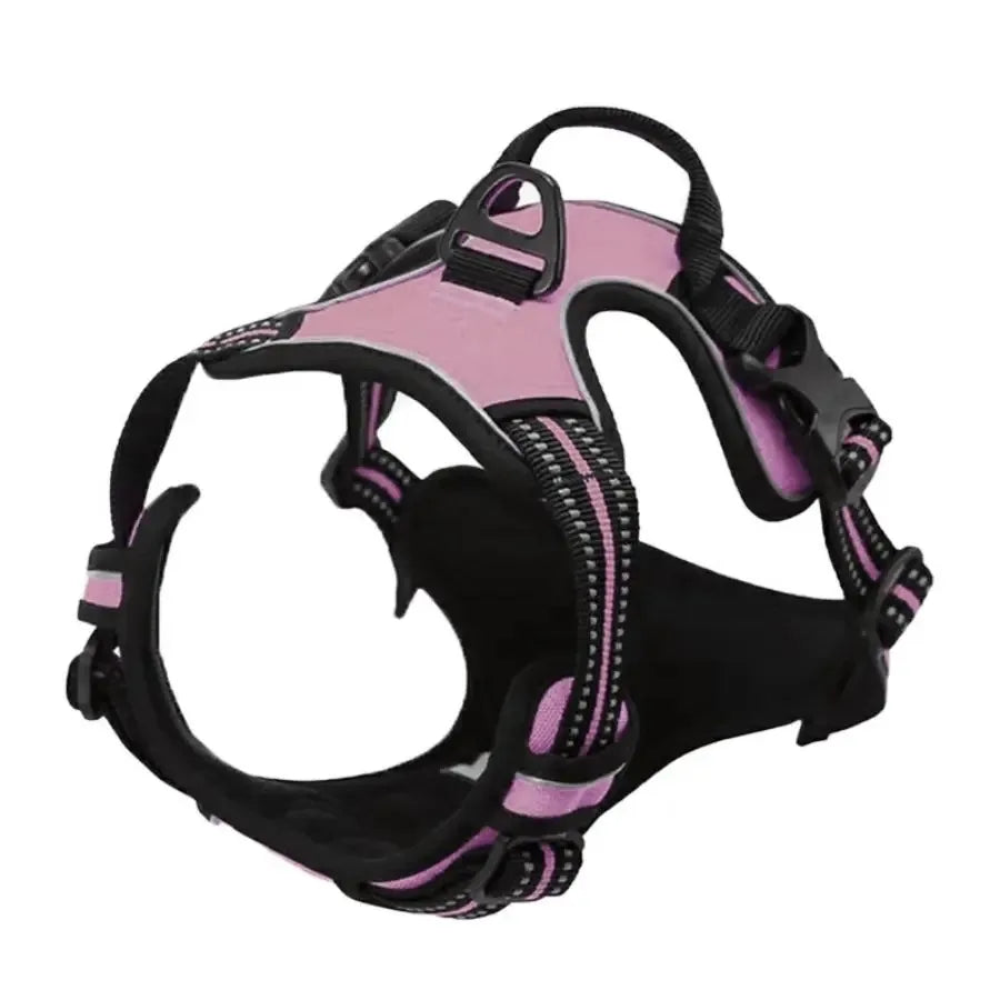 Arnés para perros con correa | Set cómodo y resistente para paseo
