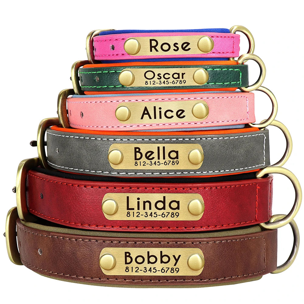 Collar y correa para perro personalizados | Cuero acolchado con placa grabada