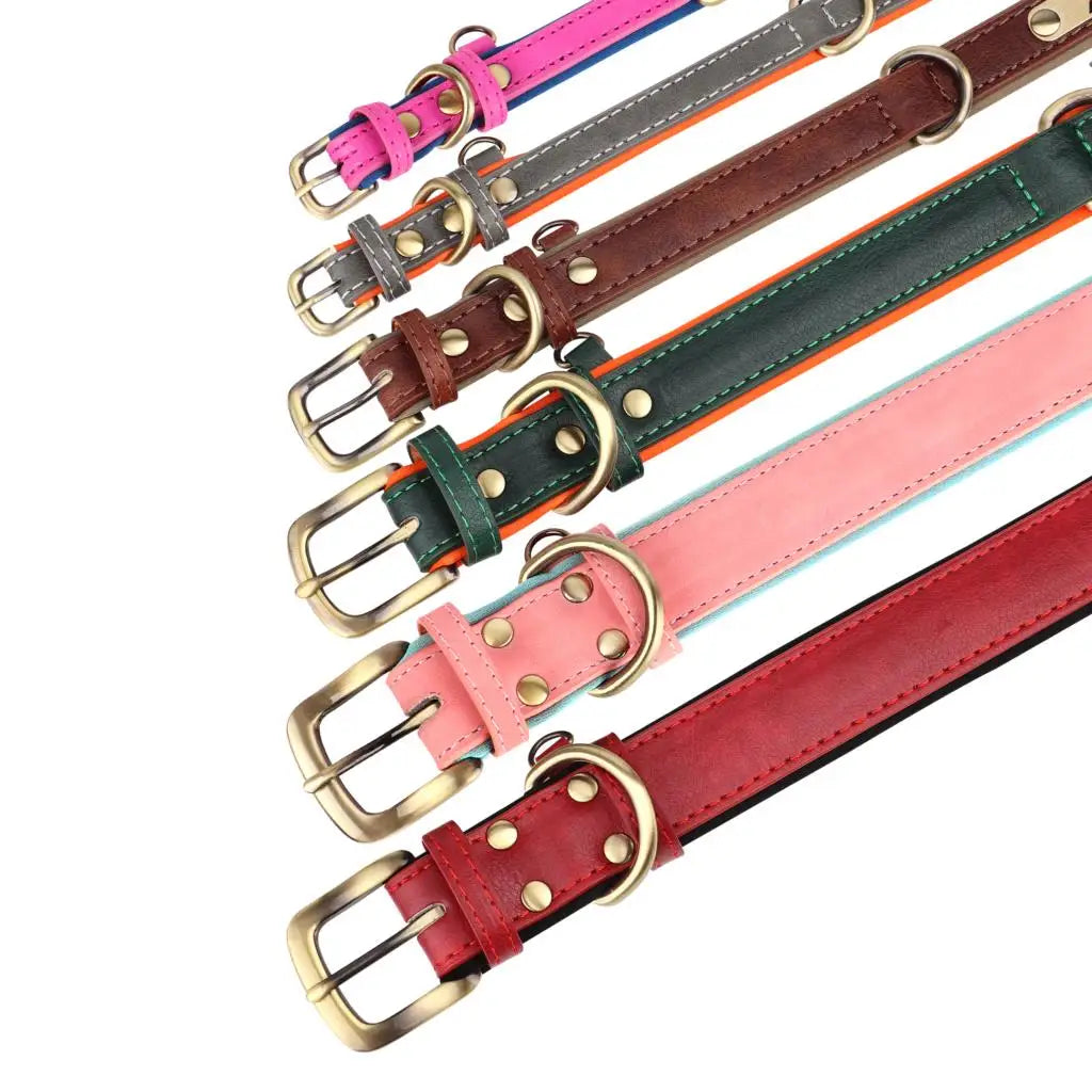 Collar y correa para perro personalizados | Cuero acolchado con placa grabada