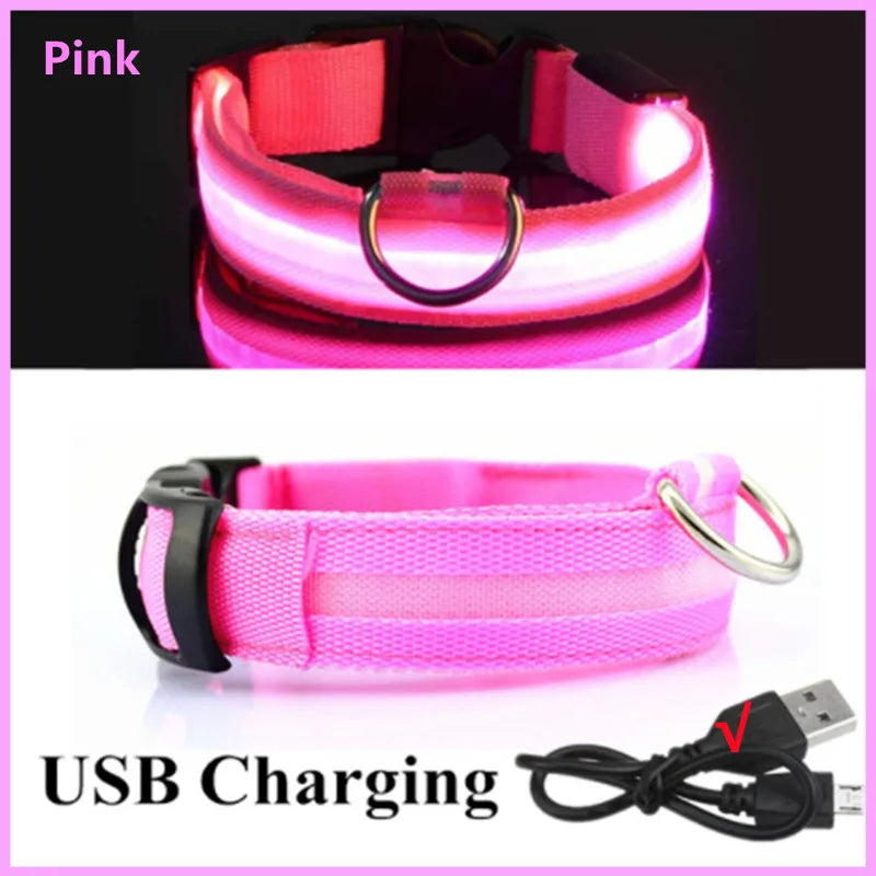 Collar LED Luminoso Recargable USB para Perros y Gatos – Ajustable, Seguro y Visible de Noche