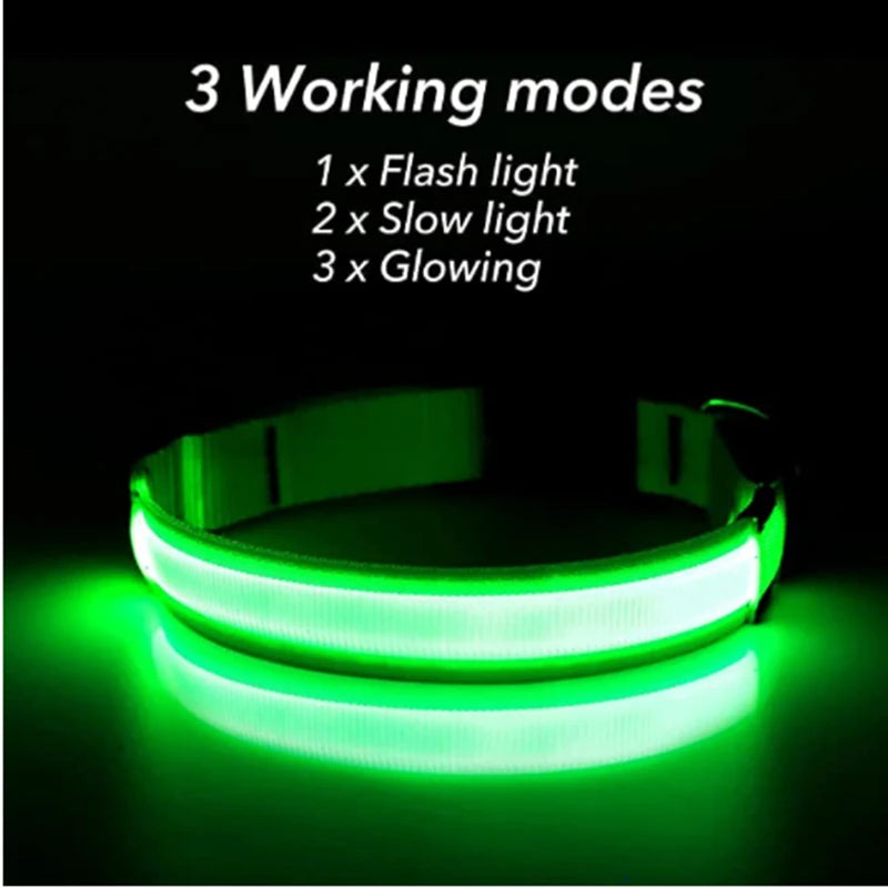 Collar LED Luminoso Recargable USB para Perros y Gatos – Ajustable, Seguro y Visible de Noche