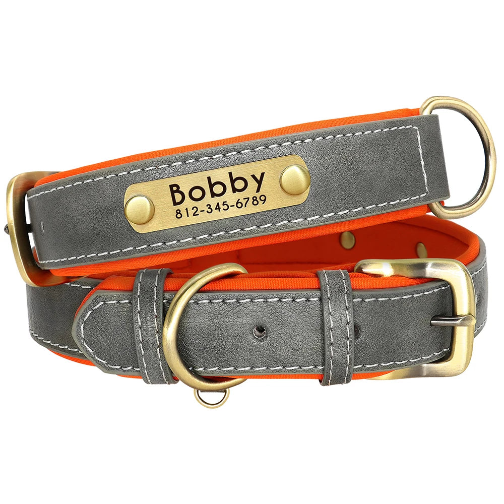 Collar y correa para perro personalizados | Cuero acolchado con placa grabada