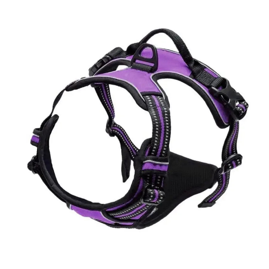 Arnés para perros con correa | Set cómodo y resistente para paseo