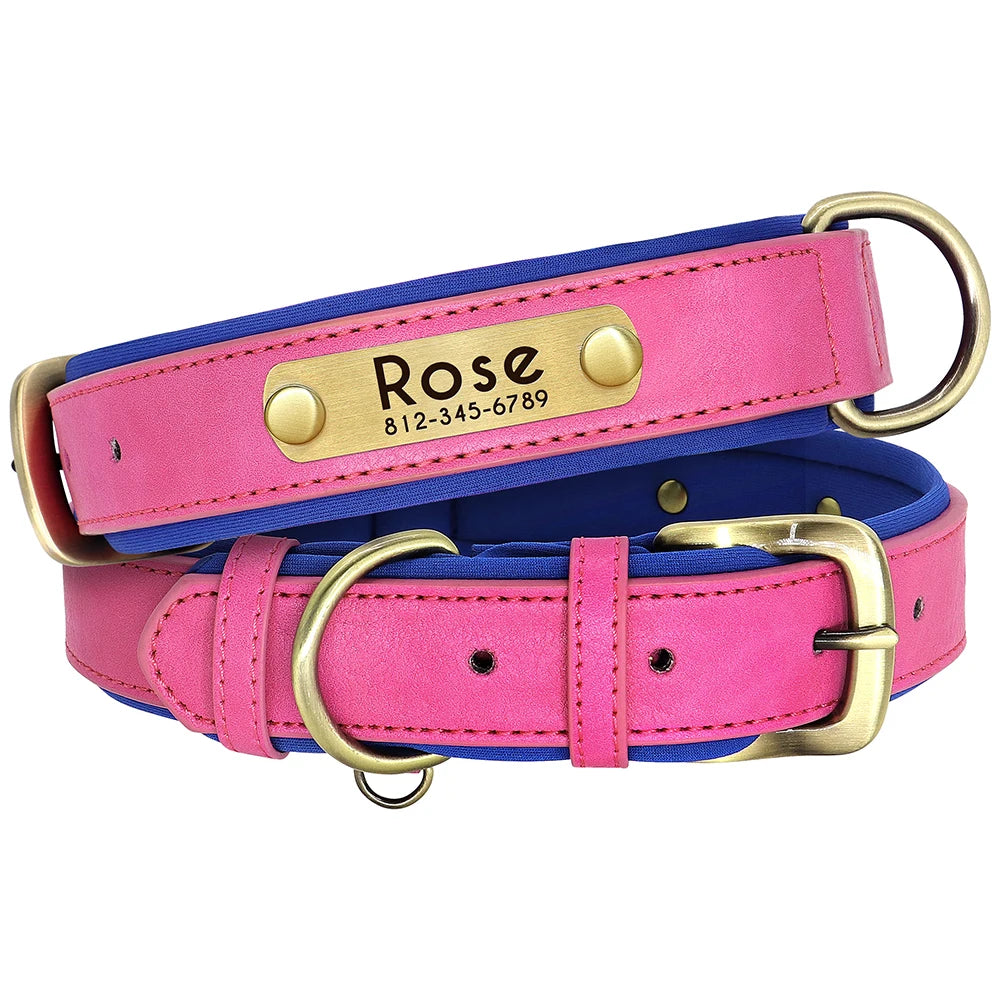 Collar y correa para perro personalizados | Cuero acolchado con placa grabada