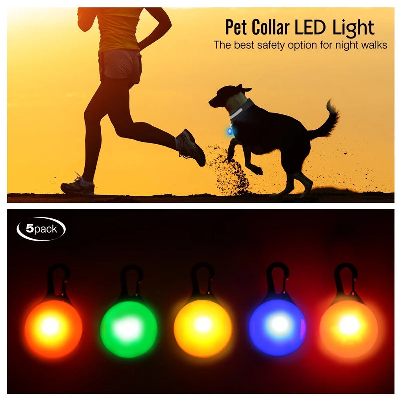 Collar Luminoso LED para Perros y Gatos | Reflectante, Ajustable y Seguro para la Noche