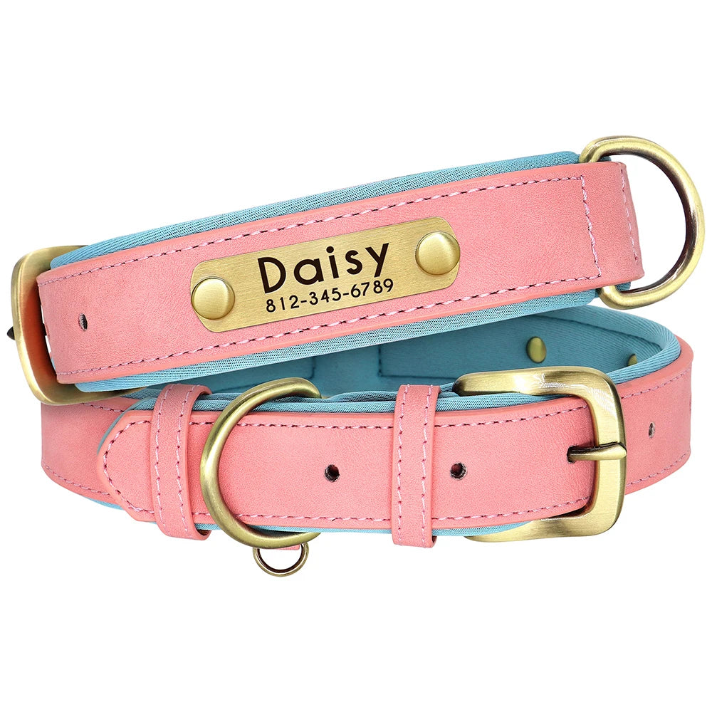 Collar y correa para perro personalizados | Cuero acolchado con placa grabada