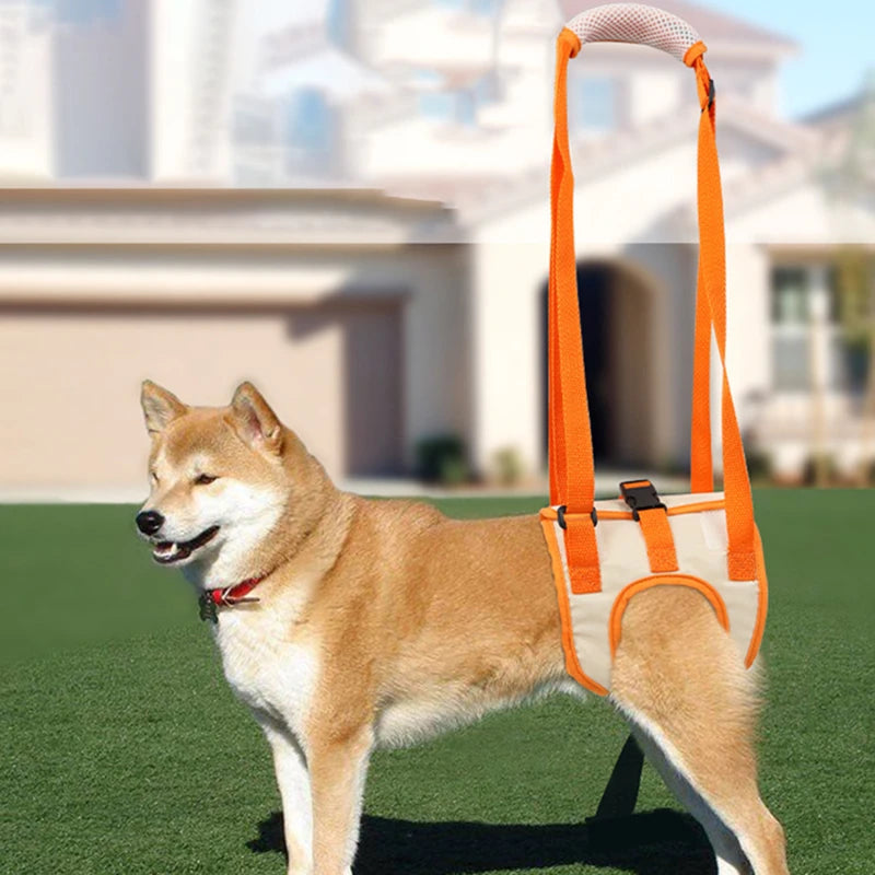 Arnés de Soporte Trasero para Perros Ajustable | Arnés Elevador para Patas Traseras y Cadera | Ayuda para Rehabilitación y Movilidad Canina