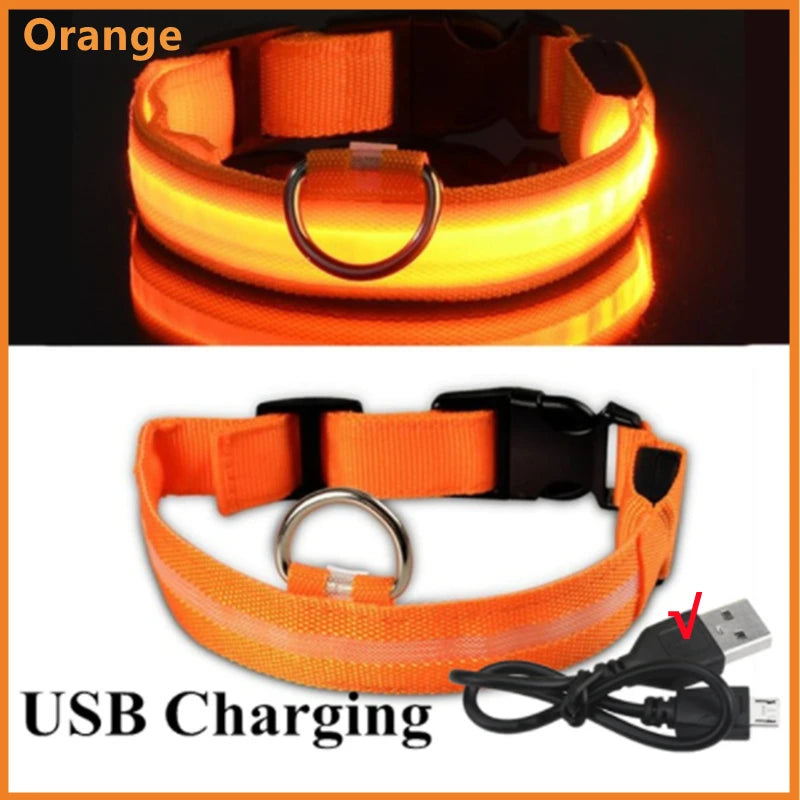 Collar LED Luminoso Recargable USB para Perros y Gatos – Ajustable, Seguro y Visible de Noche
