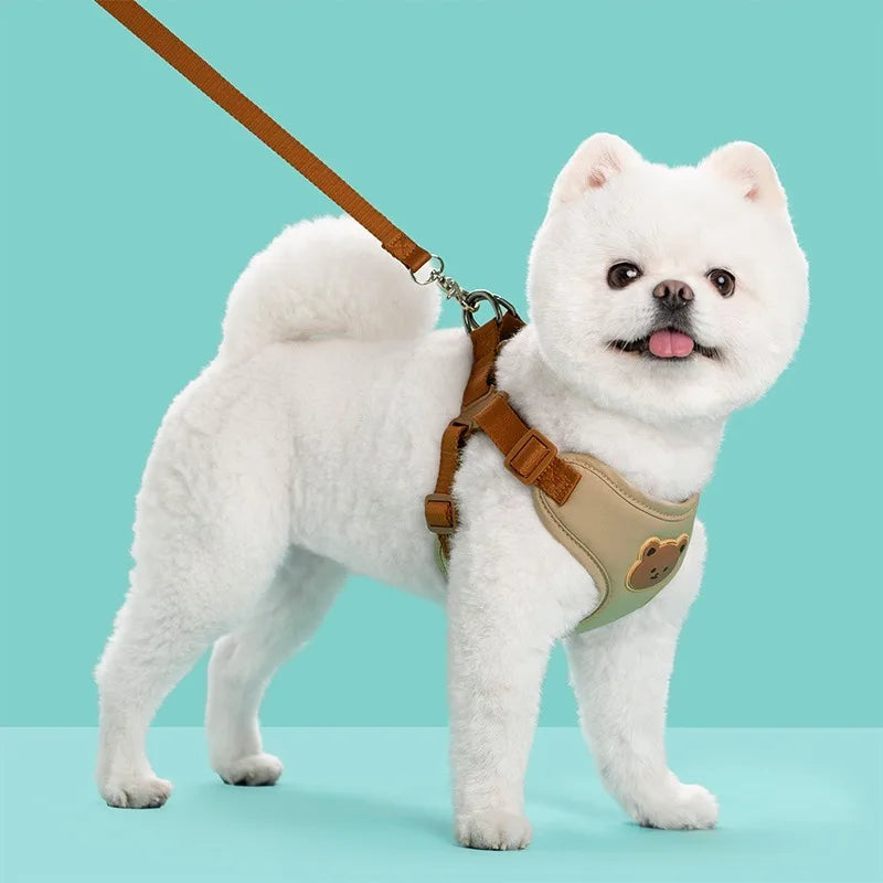 Arnés con Correa para Perros y Gatos Pequeños y Medianos | Chaleco Transpirable Ajustable Antiescape | Set Arnés + Correa 150 cm
