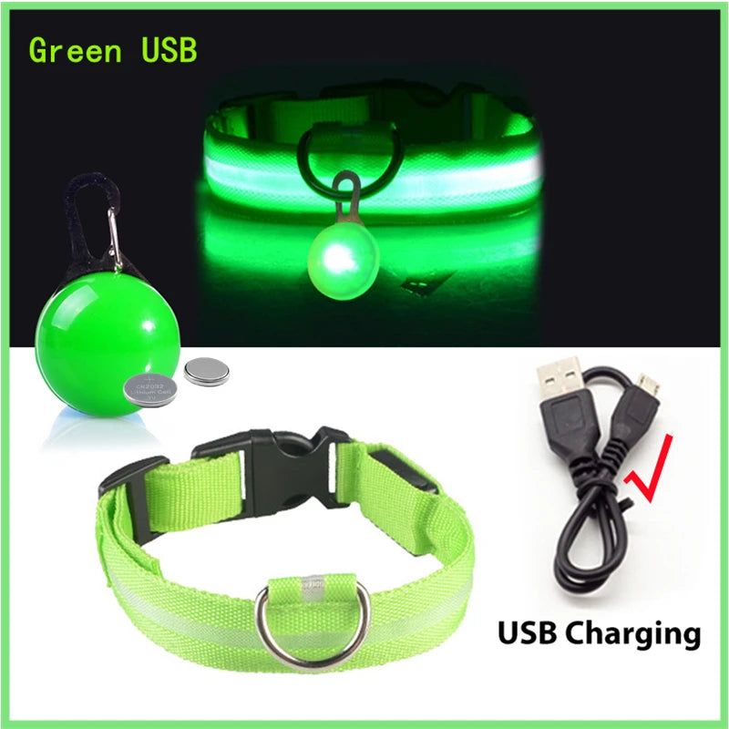 Collar Luminoso LED para Perros y Gatos | Reflectante, Ajustable y Seguro para la Noche