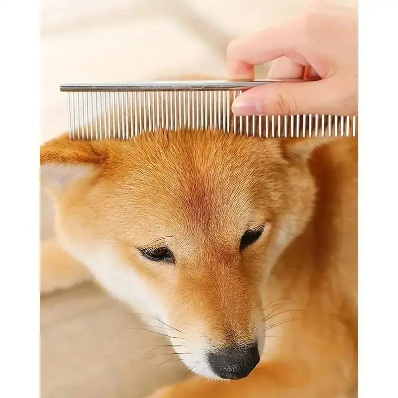 Tijeras para perros 4 piezas | Kit de peluquería canina acero inoxidable