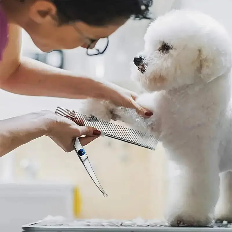 Tijeras para perros 4 piezas | Kit de peluquería canina acero inoxidable