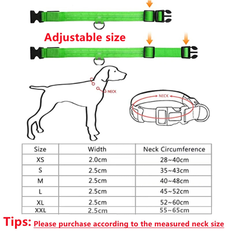 Collar LED Luminoso Recargable USB para Perros y Gatos – Ajustable, Seguro y Visible de Noche