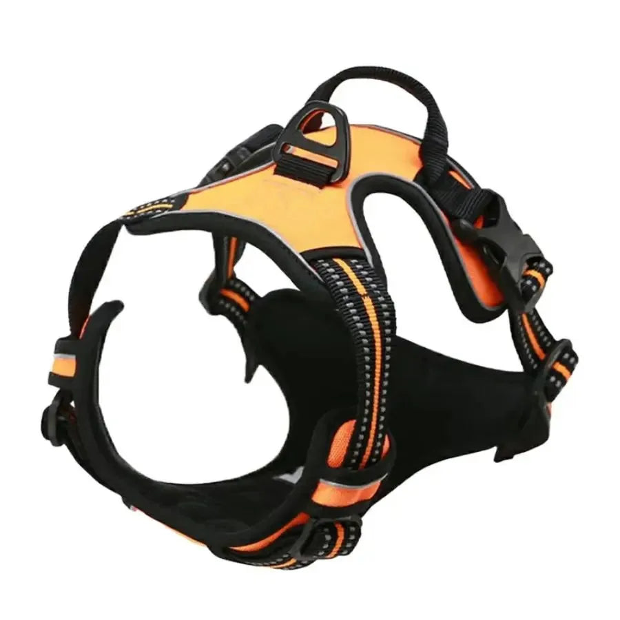 Arnés para perros con correa | Set cómodo y resistente para paseo