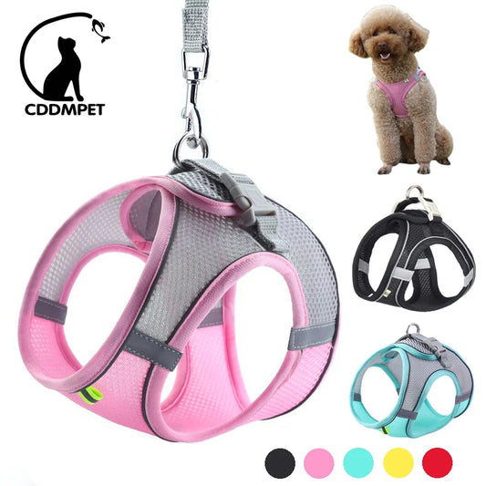 Arnés con Correa para Perros Pequeños y Gatos | Chaleco Ajustable Reflectante | Set Arnés + Correa para Chihuahua, Pug y Bulldog Francés