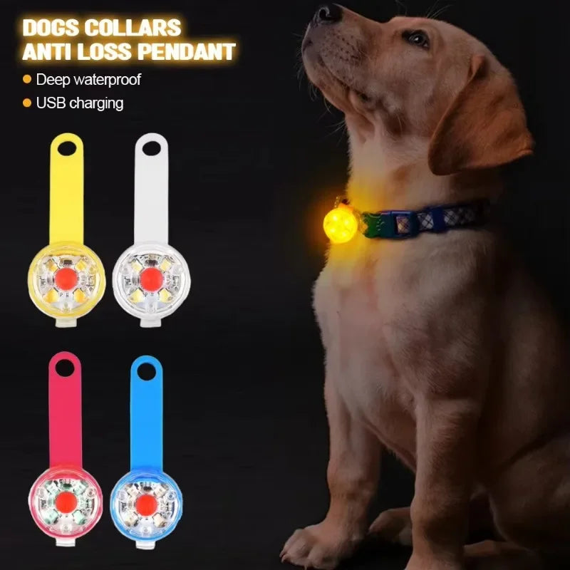 Collar LED de Seguridad para Perros y Gatos – Recargable por USB y Resistente al Clima