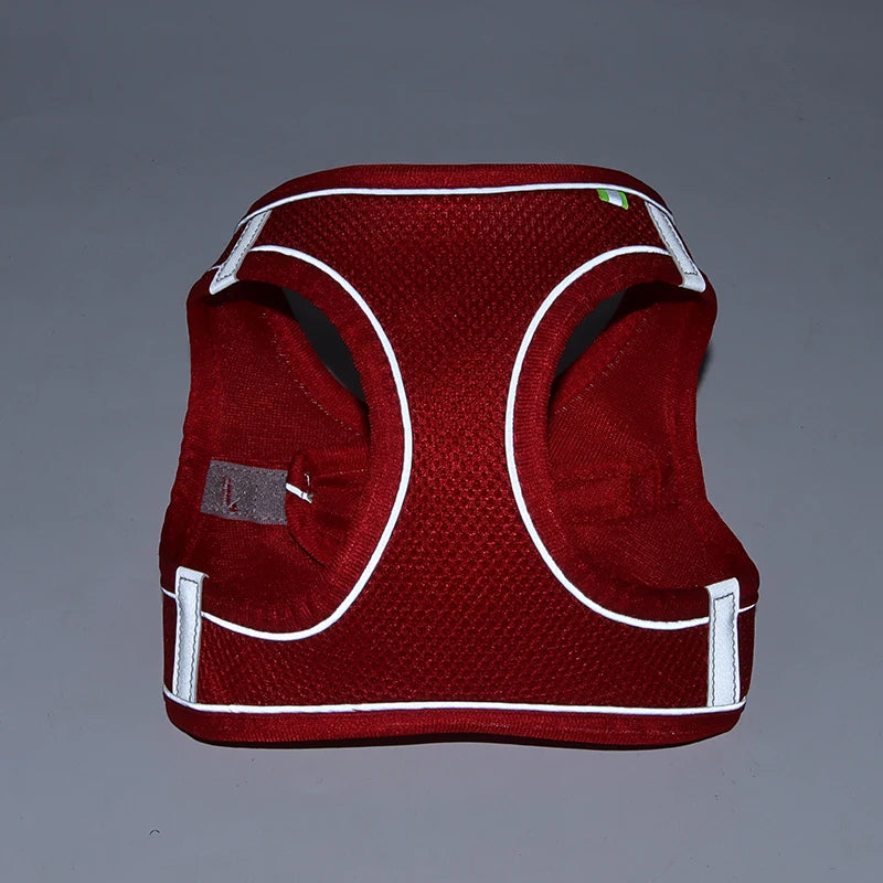 Arnés con Correa para Perros Pequeños y Gatos | Chaleco Ajustable Reflectante | Set Arnés + Correa para Chihuahua, Pug y Bulldog Francés