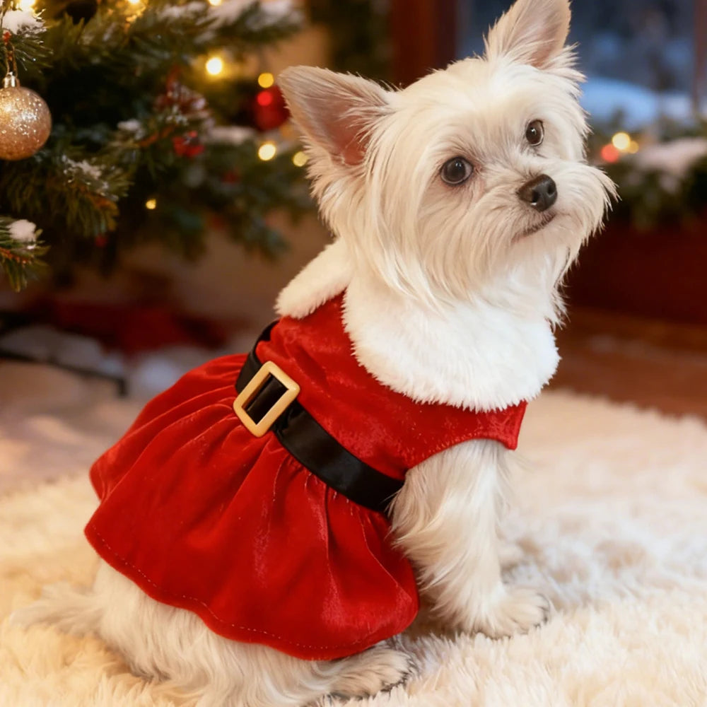 Vestido de Navidad Rojo para Perros y Gatos – Disfraz Princesa Festivo