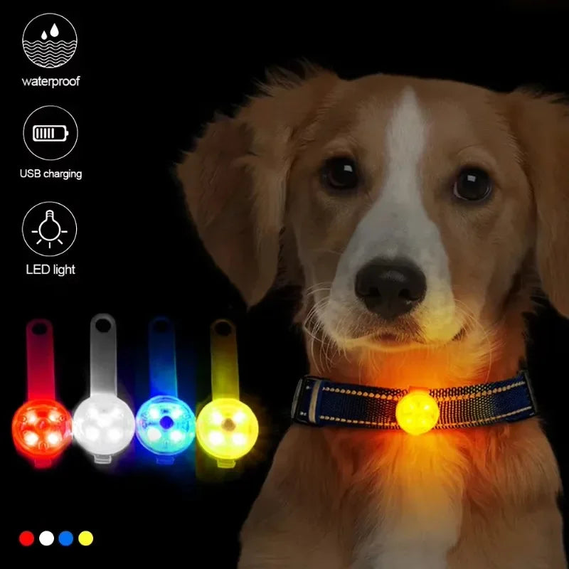 Collar LED de Seguridad para Perros y Gatos – Recargable por USB y Resistente al Clima