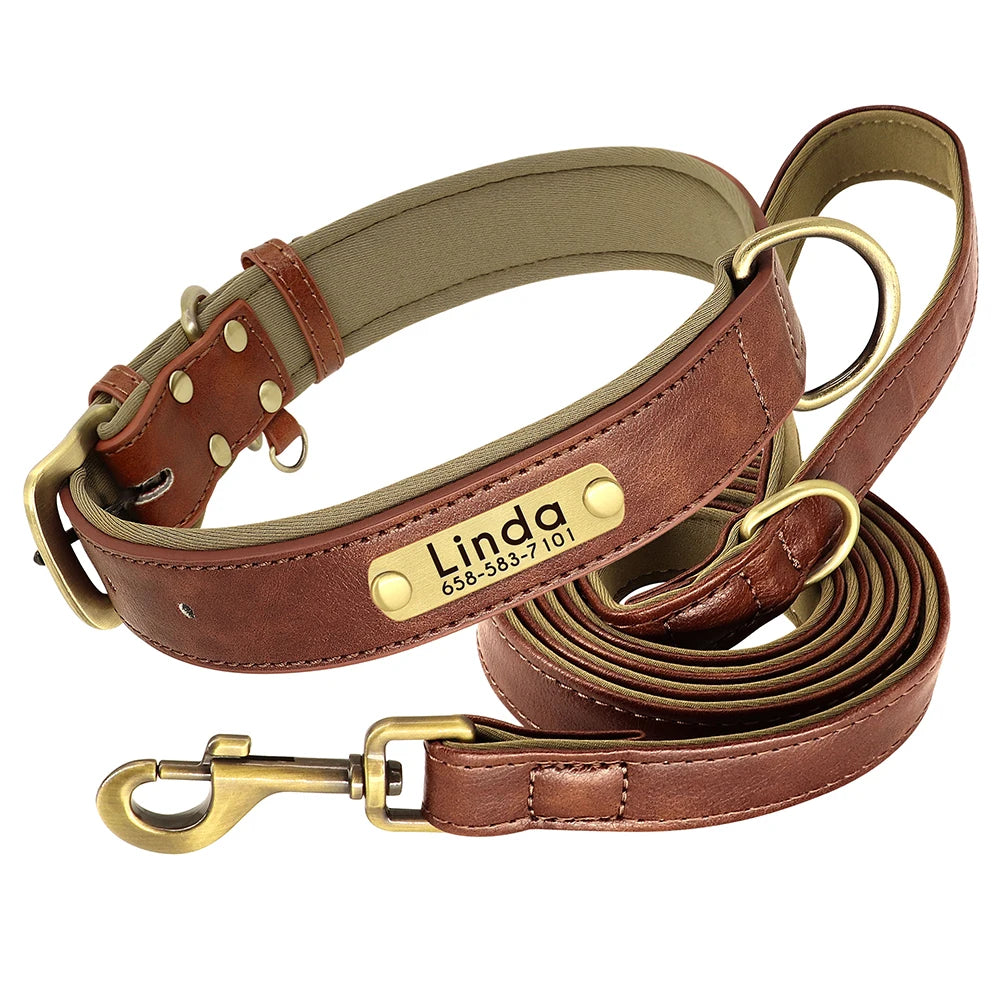 Collar y correa para perro personalizados | Cuero acolchado con placa grabada
