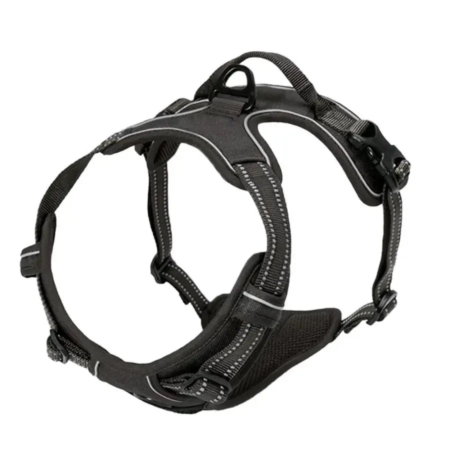 Arnés para perros con correa | Set cómodo y resistente para paseo