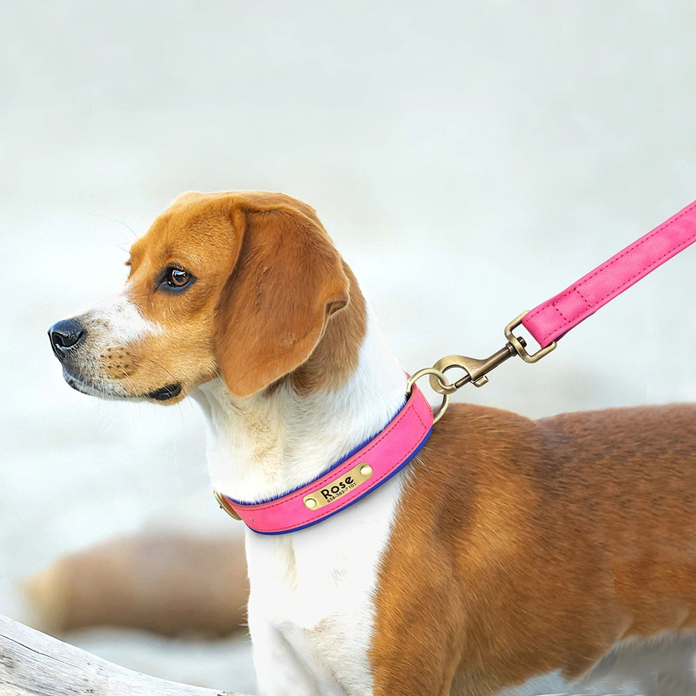 Collar y correa para perro personalizados | Cuero acolchado con placa grabada