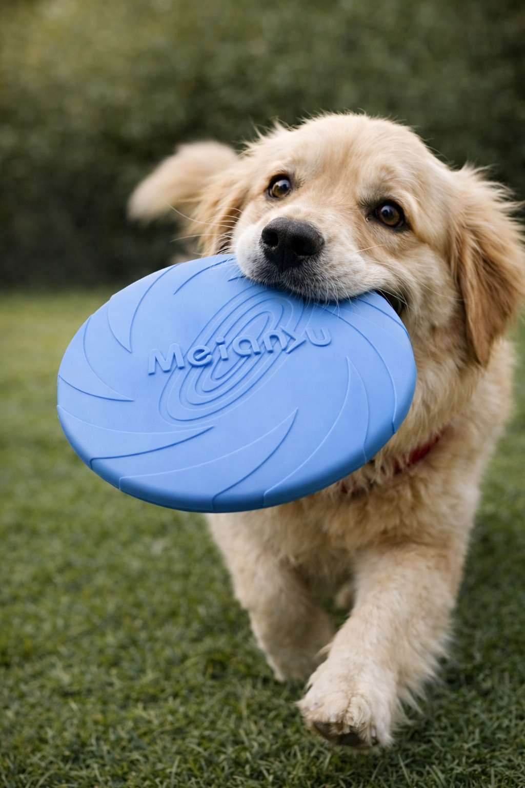 Disco Volador para Perros de Silicona – Juguete Resistente para Morder, Entrenamiento y Juego al Aire Libr