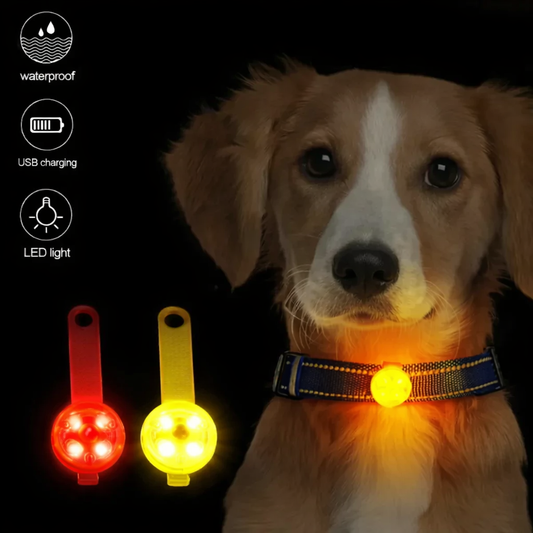 Collar LED de Seguridad para Perros y Gatos – Recargable por USB y Resistente al Clima